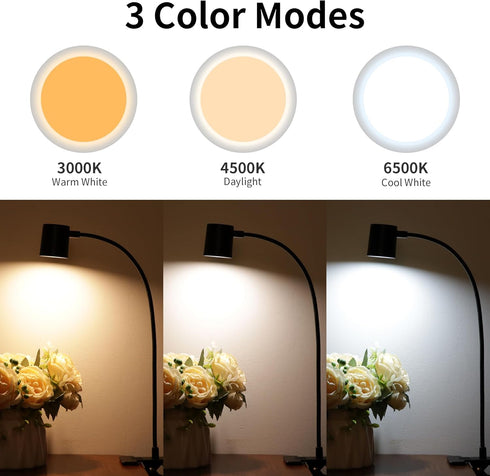 Dott Arts Desk Lamp,USB Clip On Light with 3 Color Modes,LED 10 Levels Brightness Reading Light, 360 Gooseneck Book Light,Eye-Care Reading Lamp for Home Office,Headboards Black by Dott Arts