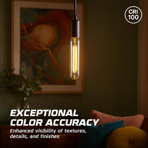 60W Bulbs (6-Pack) 60 T10 Bulb, E26 120V, 2700K, Dimmable OHLECTRIC Incandescent Light Watt Tubular Clear Glass, Medium