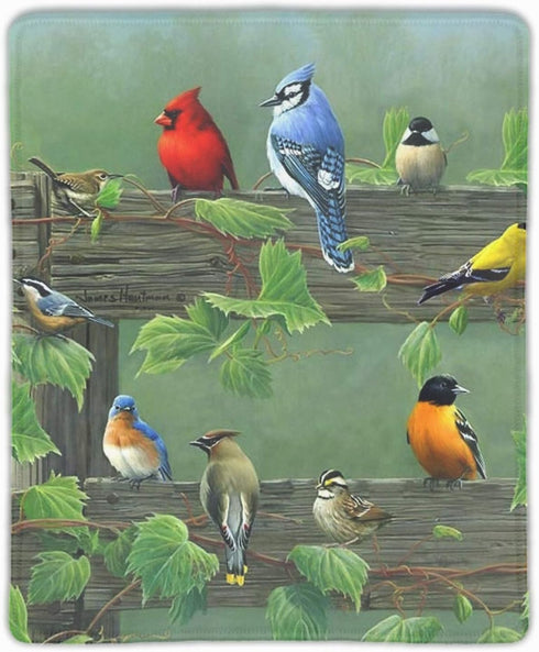 Song Bird Mousepad, Thicker Mouse Pad Decorated for Game Office