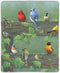 Song Bird Mousepad, Thicker Mouse Pad Decorated for Game Office