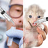 12 Pack - 3ml Plastic Syringes - Separate Sterile Packaging Small Syringe Without Needle for Plant Hydroponic