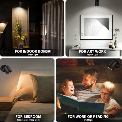 Dimmable 6000K Uplighting Indoor Uplights with Timer and Remote, Stepless Adjustable Color Temperature and Floor Can