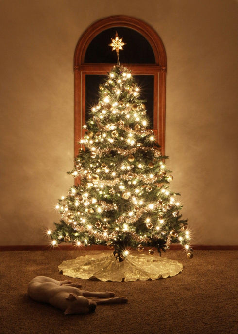 Heyworld 50 14.58 50 Sets, LED Slow Twinkle Lights, Soft Twinkling Christmas String Lights, UL Certified Ft, Connect Up
