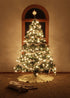 Heyworld 50 14.58 50 Sets, LED Slow Twinkle Lights, Soft Twinkling Christmas String Lights, UL Certified Ft, Connect Up