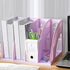 Marte Vanci Magazine File Holder, Vertical PP Folder Book Desktop Organizer, Sturdy Vertical 4 Section Folder (Purple)