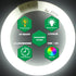 FC9T9 9 inch Bulbs T9 30W, FCL30 30 Bulb 6500K, G10q 4 2 Pack CHKADAWA Circline Light Circular Fluorescent Lamp Round