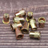 EASTLO M5 Metric Rivet Nuts, 100 Pcs, Carbon Steel Flat Head Threaded Inserts for Metal, Yellow Zinc Plated