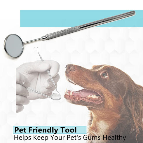 Stainless Steel Dental Mirror #5 with Handle 6.5", Dentist Tool for Teeth Cleaning and Inspection