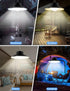 Dawn,4 Lighting|Auto-On|5 Dimmable|Daytime-On) Ip65 papasbox Solar Shed Lights Indoor Outdoor,Led Battery Powered