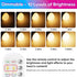 Yochoice A19 Bulb 1 Packs, Dimmable Bulb 15 3 Rechargeable Battery Operated Wireless Puck Light with Remote Control