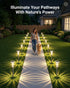 8 Pack DERAYSION Solar Lights Outdoor, Solar Pathway Lights Dusk-to-Dawn Garden Lighting, Waterproof LED Stainless
