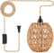 FRIDEKO HOME Hanging Lamps Hanging Light 15ft Plug in Pendant Light -
