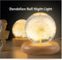 Pletmin 2.76 inch Dandelion Ball Night Light, Ball Night Lamp with Wooden Base, Fall Decorations for Home Gift for Dad