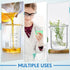 20 Pcs 50 ml Beaker, Low Form Griffin High Borosilicate Glass Measuring Beakers for Laboratories, Home Use