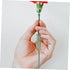 25pcs ARTIBETTER Floral Water Tubes for Flower Arrangement Fresh-Keeping Flower Nutrient for Stems of Carnations Roses