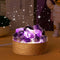 Runyangshi Amethyst Night Light with Natural Raw Crystal - USB Powered Mini