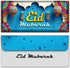 exciting Lives set 10 Eid Envelops of - Money Envelopes Eid Gifts Cards Holders for Ramadan Eid Al-Fitr Gifts Greeting