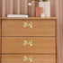 50x31x25mm, Brass Bowknot Cabinet Knob and Drawer Handle, Decorative Wardrobe and Furniture Pull for Cupboard, Dresser