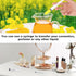 5pcs Plastic Syringes - 1ml, 3ml, 5ml, 10ml, 20ml, Reusable No Needle Measuring Syringes for Lab, Pet Feeding, Oil