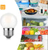 G40 Bulb 3W 25 Bulbs, E26 2700K, Dimmable Bulb Pack 2 Led Low Wattage Equivalent Watt Light Standard Small Power