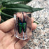 QTMY Insect in Resin Specimen Collection - Paperweight for Office Desk, Green Cockchafer Beetle
