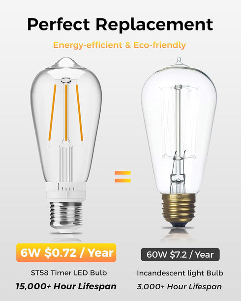 ST19 Bulb 2 Pack: Bulbs 3H/6H/9H/12H 2700K 600lm, E26 Timer Light Vintage Edison LED with Built-in Timer, Auto Modes
