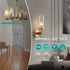 MEQIQTEK E12 60 Bulbs, Bulbs 2500K, 500 Dimmable B10 Bulbs (12 Pack) Watt Incandescent Candle Light Chandelier Light