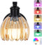 VerRon Rechargeable Battery Operated Wall Sconce with Amber Glass Lampshade, Wireless Wall