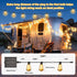 100FT ST38 Bulbs, Solar String Lights Outdoor Waterproof with Remote & Timer, LED Shatterproof USB & Solar Powered