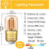 Genixgreen Low Wattage LED Light Bulb 10W Equivalent 1W E26 Mini Dim Edison Bulb Replacement Vintage Refrigerator Freezer Decorative Amber Glass Night Light bulbs,Warm White 2200k,80LM, 6 Pack by Genixgreen