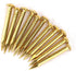 HEEPDD 100Pcs Brass Escutcheon Tacks - Round Head Hardware Nail Assortment Kit for Furniture