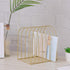 Amaping 7 Desktop Magazine File Holder Storage Rack, Sturdy Slot Iron Vinyl Record Holder Storage Book Sorter Magazine