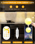 Dimmable 12 Inch Counter Closet, (3 Pack) Daymeet Ultra Thin Under Cabinet Lighting, Under Cabinet Lights Plug