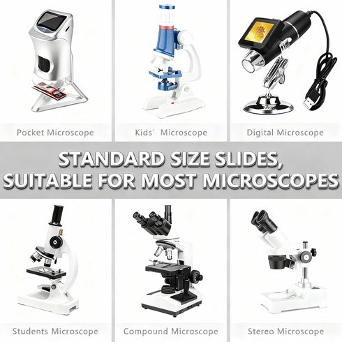 MUXBMUX 60 Microscope Slides with Specimens, Lab-Grade Prepared Microscope Slides, Animal/Plant/Microbe/Tissue Samples