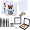 Dddzerong Butterfly Specimen Kit Includes pins, mounting Board, Spreading Tools, Display case, Labels,