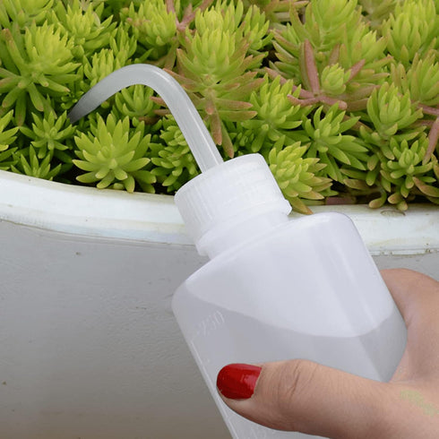 Wash Bottle 2pcs 250ml/8oz, Economy Plastic Squeeze Washing Cleaning Bottle for Medical Succulent Irrigation