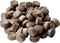 Walnut-1/2" Oval Top Wood Plugs