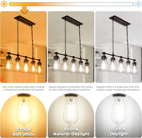 hansang E26 Edison Light Bulbs, Dimmable, 2700K Warm White, Vintage Edison Bulbs, 60 Watt Equivalent, 6W Filament Light