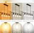 hansang E26 Edison Light Bulbs, Dimmable, 2700K Warm White, Vintage Edison Bulbs, 60 Watt Equivalent, 6W Filament Light