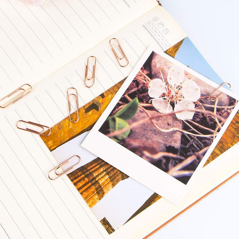 Rose Gold Paper Clips, 200 pcs Smooth Finish Steel Wire Paperclips, 50mm Medium Size for Document Organizing Office