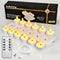 HAIDOLIANG 12PCS Rechargeable Tea Lights with Remote Timer & Dimmer, USB Flickering