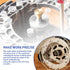 ANTDM 71369 6-1/2" Router Base Plate Diameter Clear Acrylic Sub Base with Marked Holes Fits for Porter Cable, Bos-ch