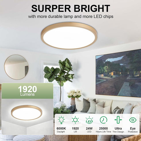 12 inch 1Pack Dimmable 5CCT (2700-6500K) 24W LED Flush Mount Ceiling Light: Super Slim & Kitchen Lighting Fixtures