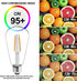 Energetic ST19 Vintage LED Edison Bulbs, 60 Watt Equivalent, Daylight 5000K, CRI 95+, E26 Standard Base, 4 Pack