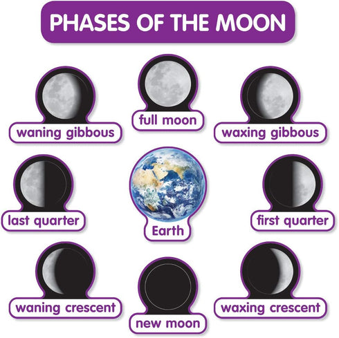 Early Science Concepts Bulletin Board