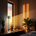 Pxiryanlow 1pc Sunset LED Ambient Lamp Night Light,USB Warm Ambient Light,Projector Birthday Party Decoration Portable