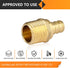 10-Pack PEX Fittings, 1/2" PEX x 1/2" Male NPT, Brass Crimp Fitting for Pex Pipes, ASTM F1807
