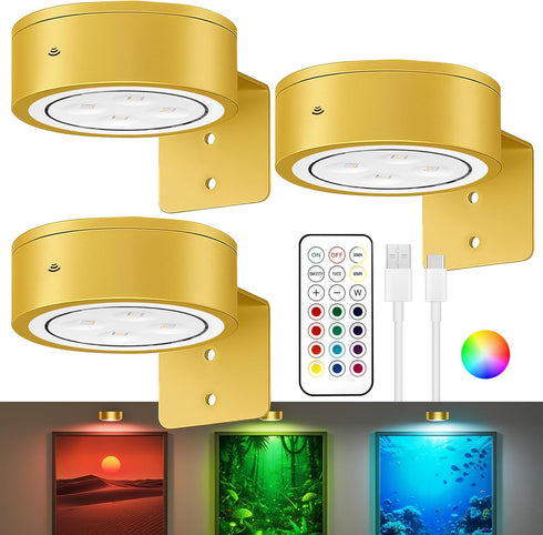 Kandicyar 3-Pack Picture Lights for Wall, 13 RGB Color Changing Led Art Display