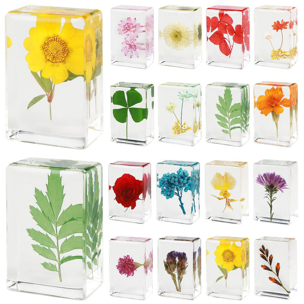 ABURRORI 16 Pcs Flower Insect in Resin Specimen Bugs Collection Paperweights16 Styles Real