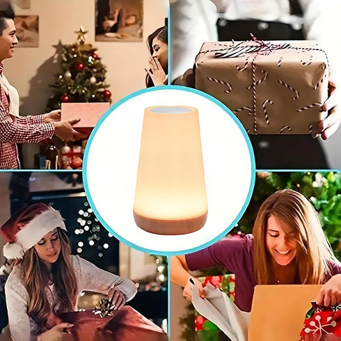 2 Pack Light,13 5 LED Night RGB Colors & Brightness, USB Rechargeable Touch Lamp, Portable Lamp for Baby, Bedroom